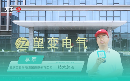 九游j9x望变电气